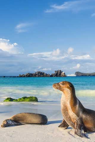 Islas Galápagos